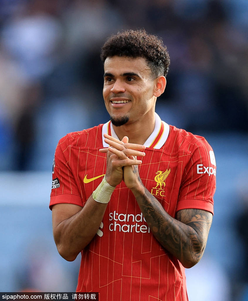 反映了团队 反映了团队