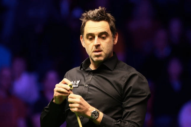 激发球迷的 激发球迷的