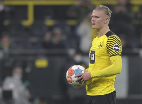 纽约洋基队 纽约洋基队